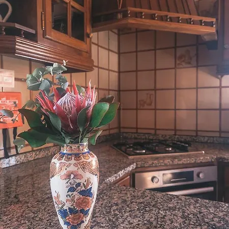 Casa Do Xisto Holiday home *