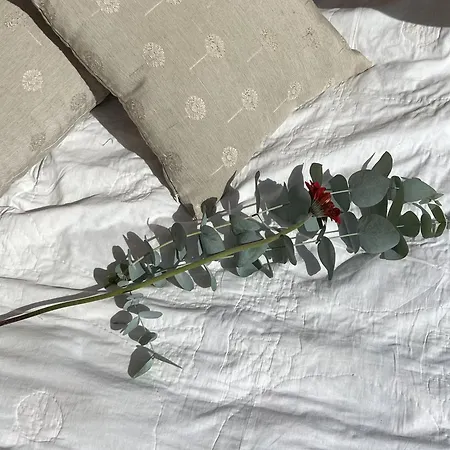 Casa Do Xisto Σπίτι διακοπών *