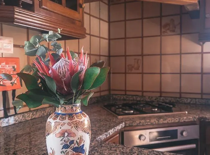 Casa Do Xisto Ferienhaus *