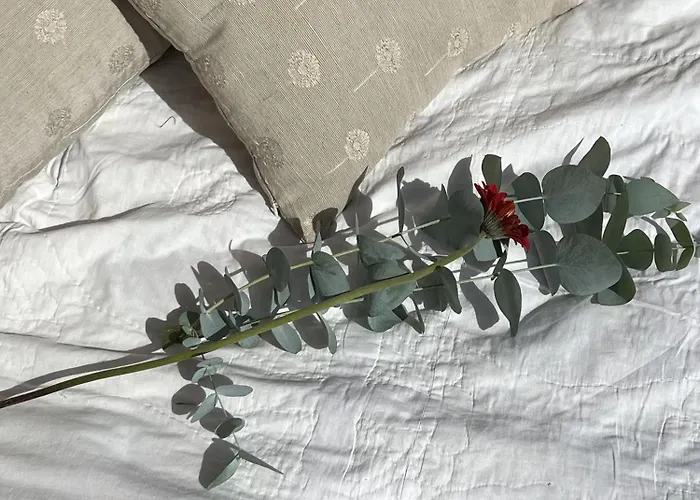 Casa Do Xisto Tatil Evi *